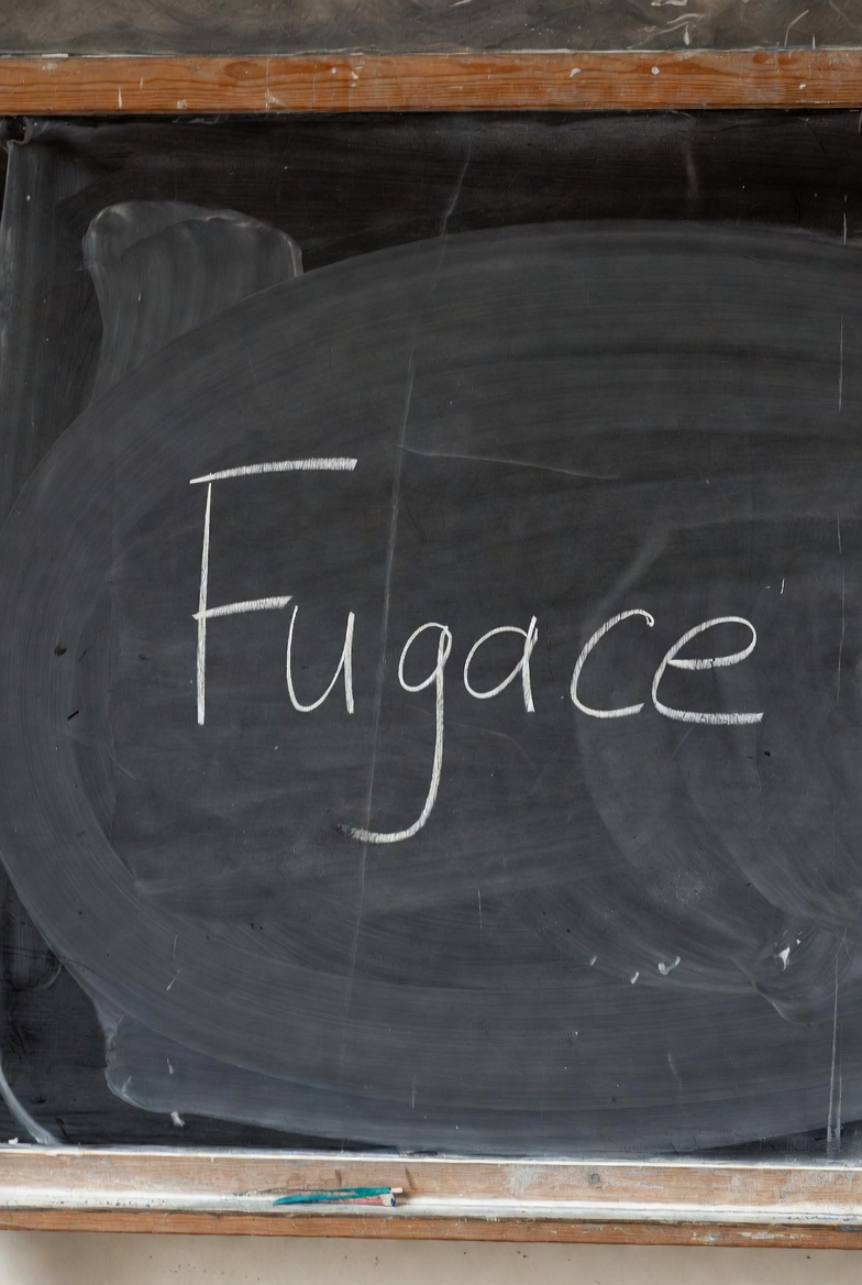 Le mot du tableau : Fugace